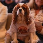 WhatsApp Image 2026-04-08 at 03.57.27 (2)