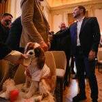 WhatsApp Image 2026-04-08 at 03.57.28