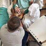 IMG-1318