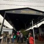 abcc (16)