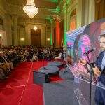 expointer (4)