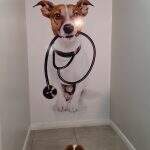 pets (10)