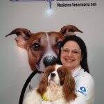 pets (8)