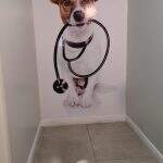 pets (9)