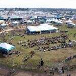 Abertura Expointer 2026 2