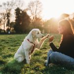 Young woman playing with her dog at the public park - Sunset time