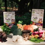 Nattu-Wild-2026.22--Divulgacao-PremieRpet - Copia